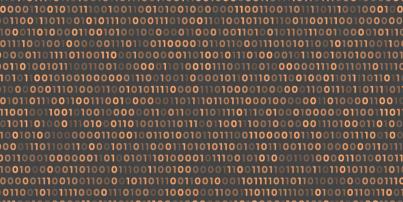 Scamadviser Algorithmus-Erklärer