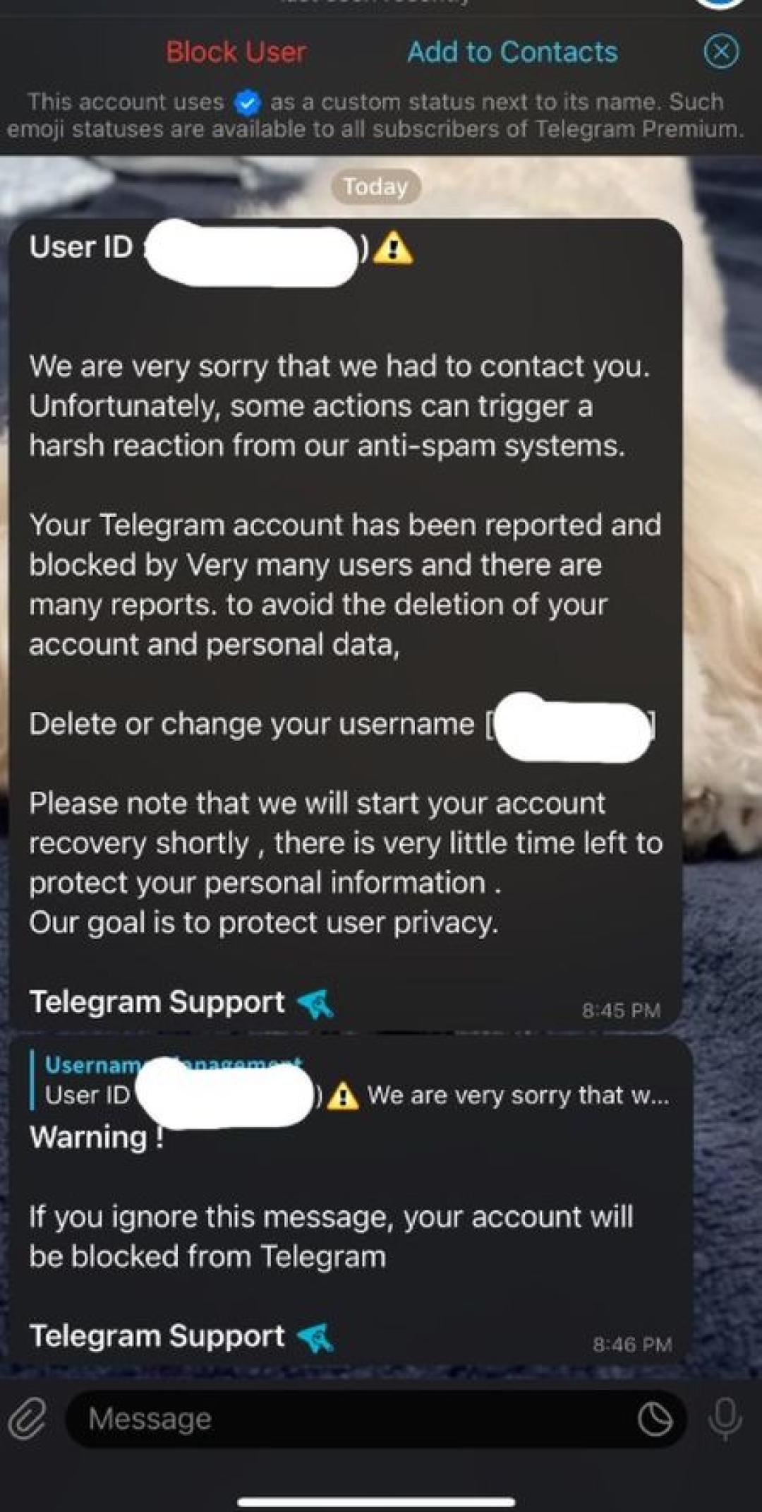account-takeover-scams-81dbc.jpg