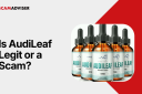 AudiLeaf Review: When the Promise of Relief Feels Like Proof