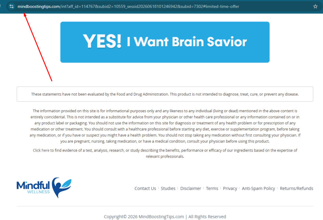 brain-2-08523.png