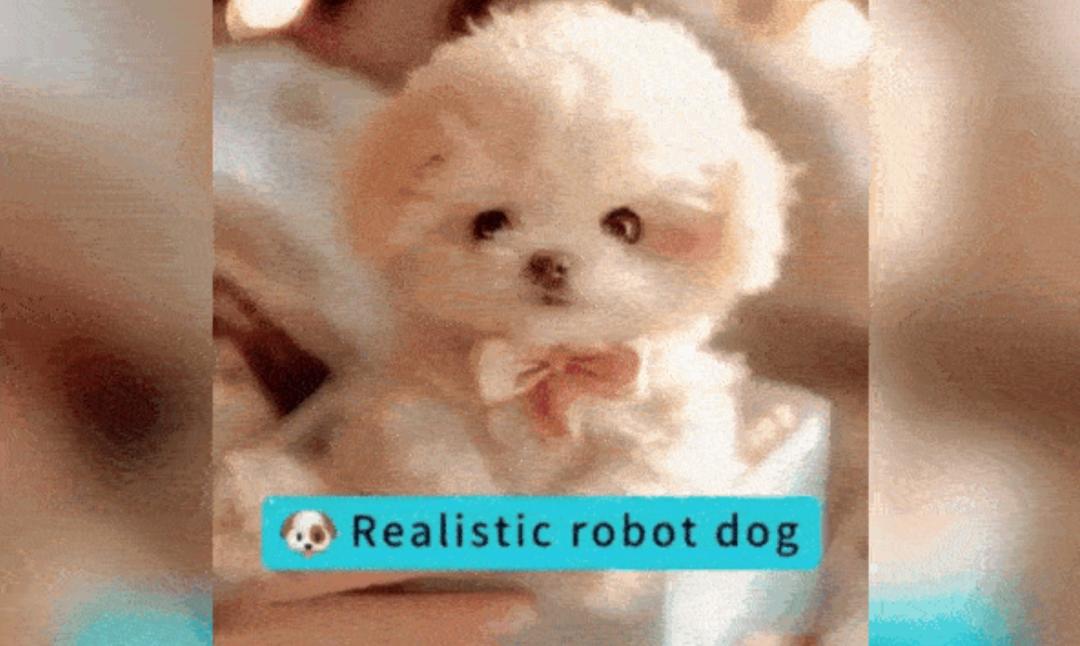 froplay-robot-puppy-3-b2830.jpg