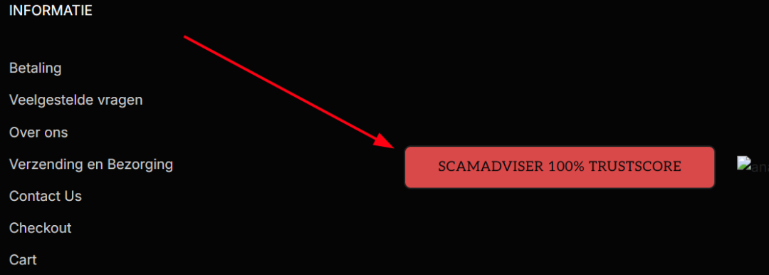 image-11-96cdb.png