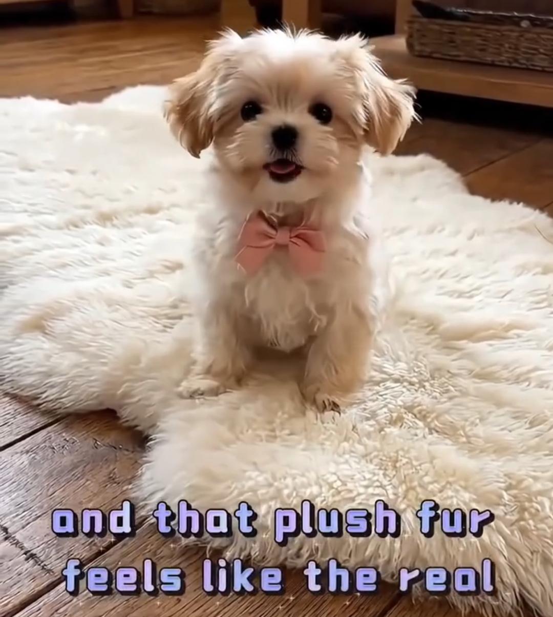 pawbuddy-electronic-interactive-plush-puppy-toy-11-cbfd3.jpg