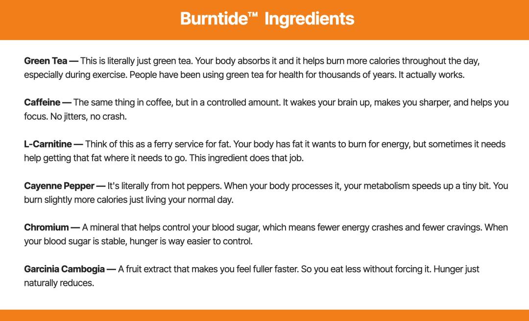 screenshot-from-one-of-the-burntide-sales-page-displaying-its-ingredients-as-provided-on-the-sales-page-72386.jpg