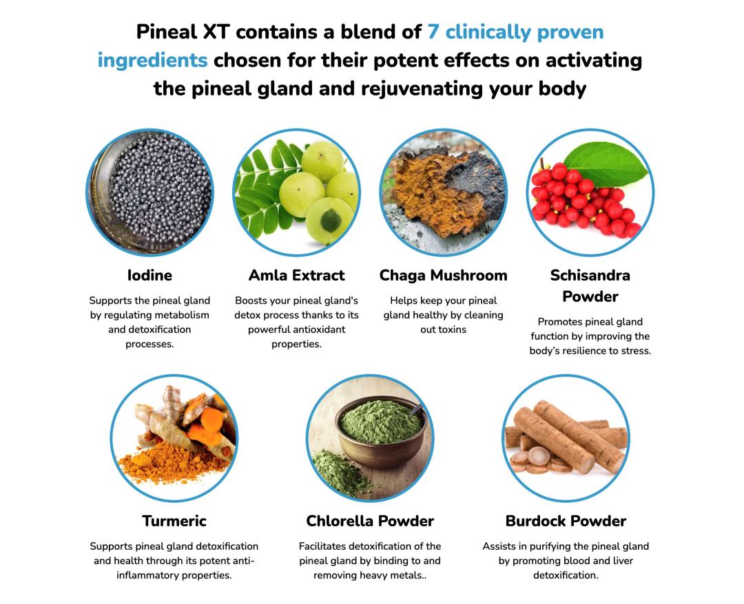screenshot-from-one-of-the-pineal-xt-sales-page-displaying-its-ingredients-as-provided-on-the-sales-page-45458.jpg