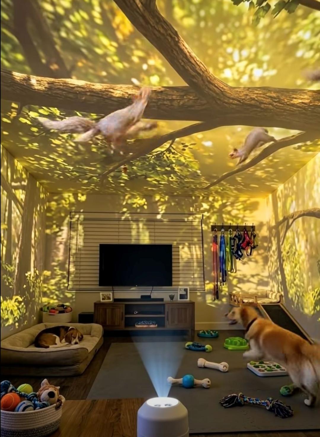 screenshot-of-pawlumen-glow-projector-social-media-promotional-clip-showing-projection-quality-as-shown-in-the-clip-ff19c.jpg