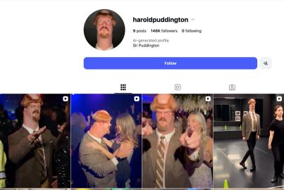 Harold Puddington Real or Fake? Is Sir Puddington...