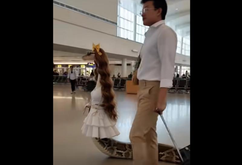 https://whitelabel-manager-production.ams3.digitaloceanspaces.com/thumbs/snake-in-airport-dress-like-a-girl-6ce22.jpg_800x.jpg