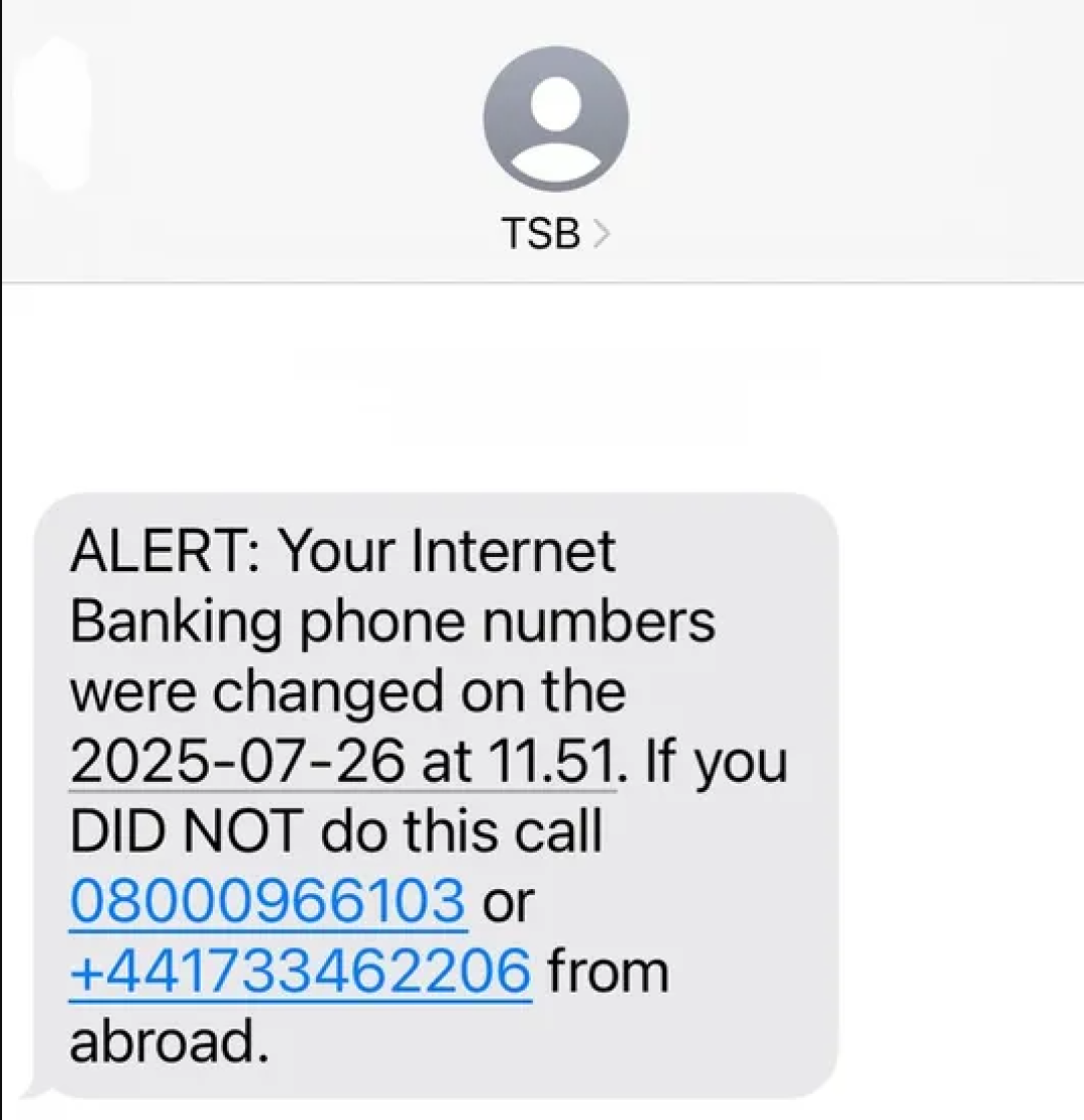 ts-b-cea6d.png